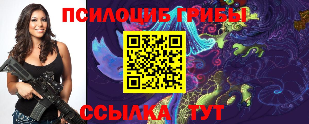 Псилоцибиновые грибы Magic Shrooms  Псилоцибиновые грибы Psilocybe  Лыткарино  Вход с VPN 